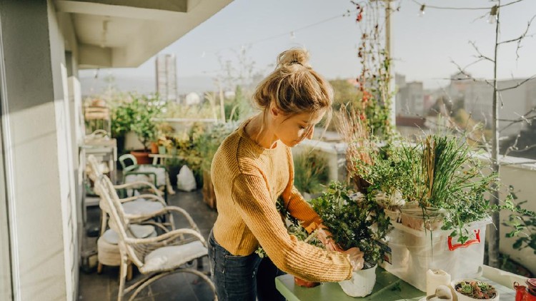 Photo of young woman taking care of her plants on a rooftop garden