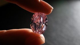 Berlian Merah Muda Langka di Rusia Laku Rp374 Miliar