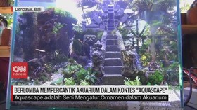 VIDEO: Lomba Mempercantik Akuarium dalam Kontes 'Aquascape'