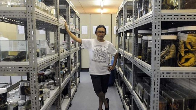 Evy Ayu Arida, peneliti di Pusat Biologi LIPI awalnya bercita-cita menjadi artis, namun Ia 'tercebur' menjadi ahli komodo di Indonesia.