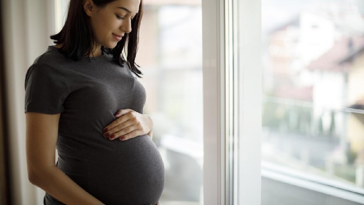 Portrait of young happy pregnant woman standing by the window