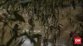 Seorang Pria Hilang di Pandeglang, Diduga Terseret Arus Sungai