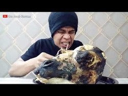 5 Momen Mukbang Kepala Hewan, dari Kepala Babi hingga Kepala Unta 4,5 Kg!
