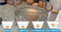 Cara Gampang Mengecek Apakah Telur Masih Bagus atau Tidak