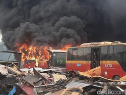 Total 37 Bangkai Bus Transjakarta Terbakar di Bogor