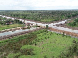 TNI Dikerahkan dalam Proyek Lumbung Pangan, Apa Tugasnya?
