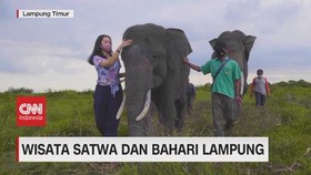 VIDEO: Wisata Satwa Dan Bahari Lampung