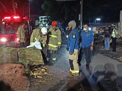 Pohon Tumbang Timpa Pemotor di Bandung, 2 Orang Tewas