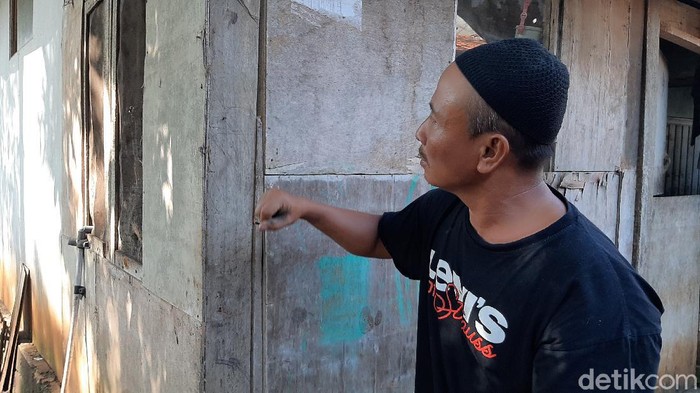 Warga Banyumas diteror semut, pohon hingga rumah diserbu. Semut ini diketahui agresif dan saat menggigit meninggalkan rasa pedih dan gatal.