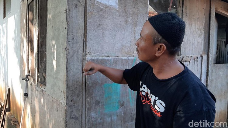 Warga Banyumas diteror semut, pohon hingga rumah diserbu. Semut ini diketahui agresif dan saat menggigit meninggalkan rasa pedih dan gatal.