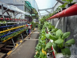 Menilik Kampung Sehat di Utan Kayu yang Bikin Mata Terpana