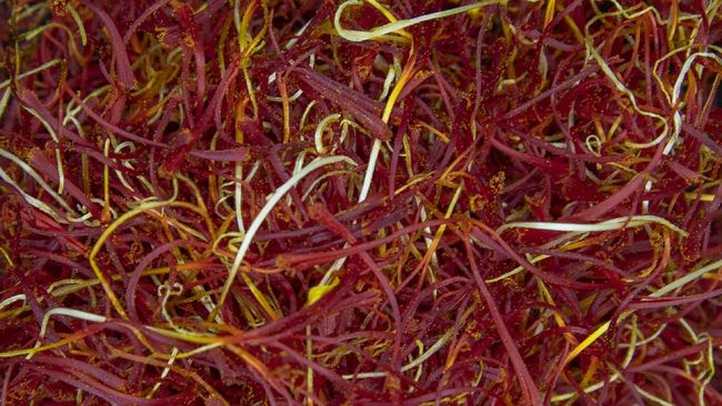 Hati-hati, jangan sampai membeli saffron palsu. Pahami cara membedakan saffron asli dan palsu.