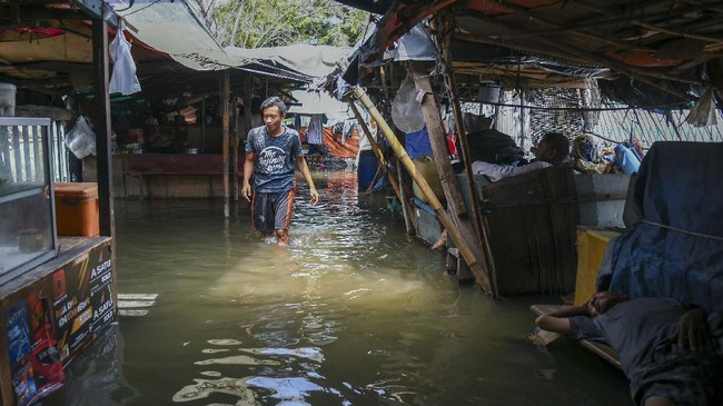 FOTO: Banjir Rob di Kawasan Sunda Kelapa Jakarta Utara
