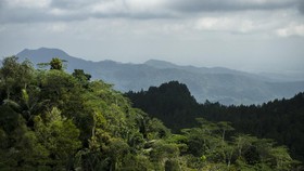 Ragam Wisata Alam di Tengah Kabut Bukit Menoreh