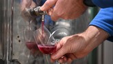 FOTO: English Noveau, 'Musuh Baru' Wine Prancis Dulu pedagang wine di Inggris berlomba-lomba untuk mengamankan Beaujolais Noveau sebagai persediaan. Kini, Inggris berhasil membuat rivalnya, English Nouveau.