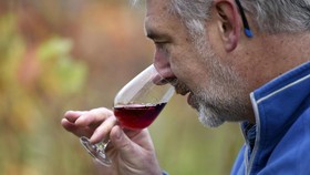 FOTO: English Noveau, 'Musuh Baru' Wine Prancis
