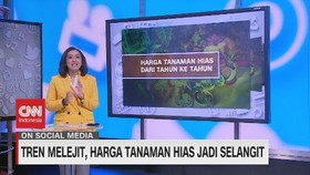 VIDEO: Tren Melejit, Harga Tanaman Hias Jadi Selangit