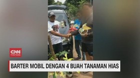 VIDEO: Mobil Rp 105 Juta Dibarter dengan Empat Tanaman Hias