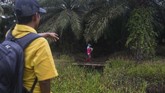 FOTO : Nestapa Buruh Wanita di Perkebunan Kelapa Sawit Sejumlah wanita bekerja di perkebunan kelapa sawit demi membantu suami mereka. Mereka sering tak mendapat jaminan pekerjaan layak dan bekerja terlalu berat.