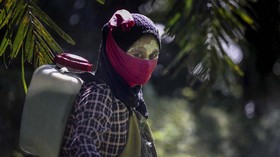 Gapki Bantah Ada Eksploitasi Pekerja Perempuan di Kebun Sawit