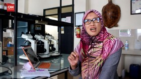 VIDEO: Penjelasan Terkait Fenomena Semut di Banyumas