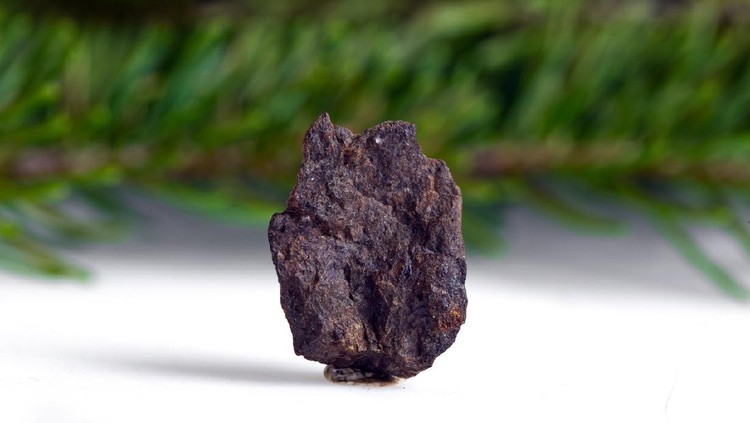 Tektite Meteorite mineral stone rock gem specimen blackTektite Meteorite mineral stone rock gem specimen black