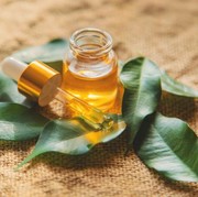 Intip 4 Manfaat Tea Tree Oil Bagi Kecantikan, Salah Satunya Bisa Usir Komedo Lho!