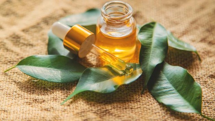 Intip 4 Manfaat Tea Tree Oil Bagi Kecantikan, Salah Satunya Bisa Usir Komedo Lho!