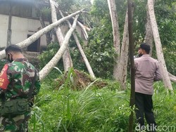 Puting Beliung Terjang Desa di Blitar, Ratusan Pohon Tumbang dan 5 Rumah Rusak