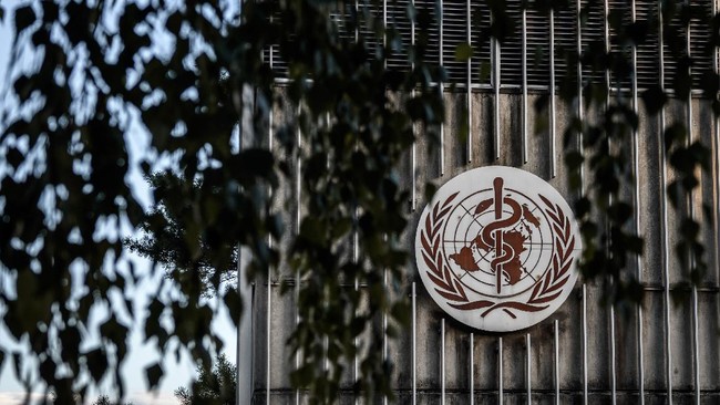 Laporan Malaria Dunia 2020 yang dirlis WHO menunjukkan kemajuan pemberantasan telah terhenti dalam beberapa tahun terakhir.