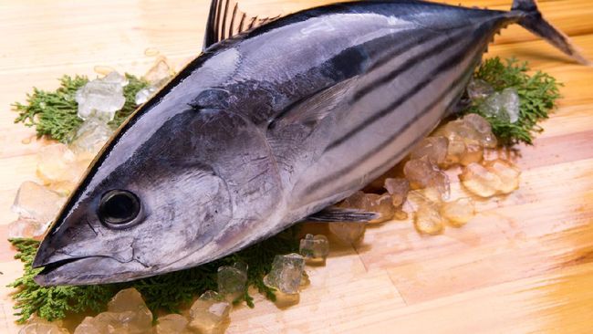 7 Manfaat Ikan Tuna: Cegah Kanker hingga Remajakan Kulit