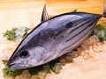 7 Manfaat Ikan Tuna: Cegah Kanker hingga Remajakan Kulit