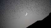 NYALANG: Menyesap Damai dalam Api Kenangan Kepakan burung camar, laba-laba di jembatan, serta lilin peringatan Revolusi Velvet termasuk dalam foto-foto pilihan CNNIndonesia.com pekan ini.