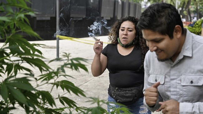 FOTO: Taman Ganja di Halaman Gedung Senat Meksiko