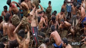VIDEO: Upacara Keagamaan, Warga Saling Lempar Kotoran Sapi