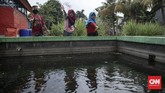 FOTO: Belajar Urban Farming di Timur Jakarta Memperingati Hari Pohon Sedunia, sejumlah anak dan warga belajar mengenai urban farming dan pengolahan sampah.