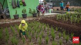 FOTO: Belajar Urban Farming di Timur Jakarta Memperingati Hari Pohon Sedunia, sejumlah anak dan warga belajar mengenai urban farming dan pengolahan sampah.
