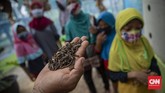 FOTO: Belajar Urban Farming di Timur Jakarta Memperingati Hari Pohon Sedunia, sejumlah anak dan warga belajar mengenai urban farming dan pengolahan sampah.