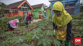FOTO: Belajar Urban Farming di Timur Jakarta