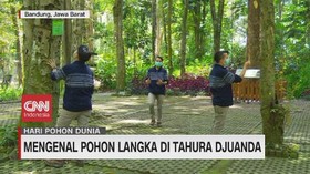 VIDEO: Mengenal Pohon Langka di Tahura Djuanda