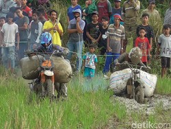 Keunikan Pesta Panen Masyarakat Desa Palatta