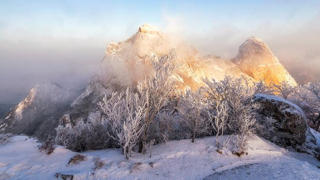 Berikut jawaban lengkap dari sejumlah pertanyaan yang kerap ditanya turis yang bisa menjadi tips dan panduan wisata musim dingin di Korea Selatan.