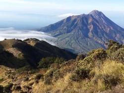 Gunung Merbabu yang Bikin Rindu