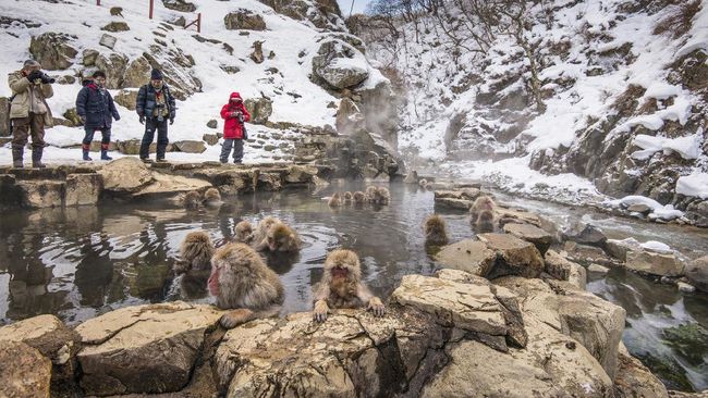 8 Tempat Wisata Jepang yang Paling Sering Dikunjungi Intip tempat wisata di Jepang yang paling sering dikunjungi oleh wisatawan dengan daya tarik yang memikat, mulai dari wisata alam hingga landmark-nya.