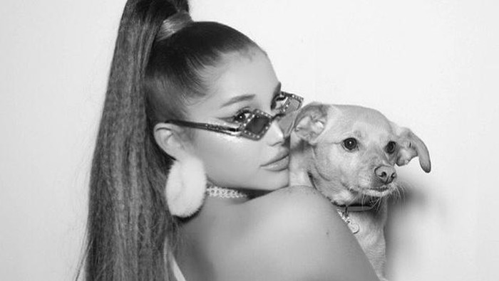 Rahasia Ponytail Ariana Grande dari Sang Penata Rambut