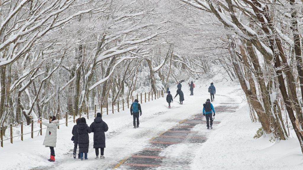 Pulau Jeju Diterpa Badai Salju, 11 Ribu Turis Terdampar di Bandara