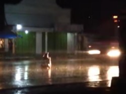 Viral Pria Duduk Bersila di Jalan Raya Lalu Tertabrak Truk