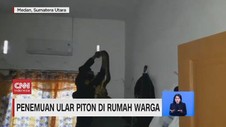 VIDEO: Heboh Penemuan Ular Piton Melilit di AC Rumah Warga