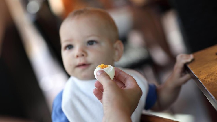 Anak makan