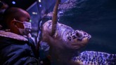 FOTO: Pelesir Akhir Pekan Warga Wuhan di Taman Akuarium Penduduk kota Wuhan di China ramai-ramai mendatangi Haichang Ocean Park pada akhir pekan kemarin.